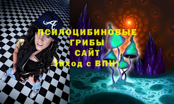скорость Няндома