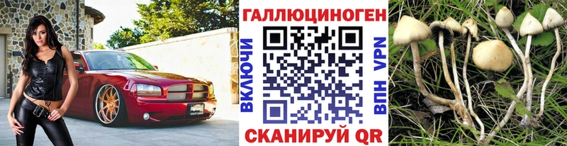 Псилоцибиновые грибы Cubensis  Топки 