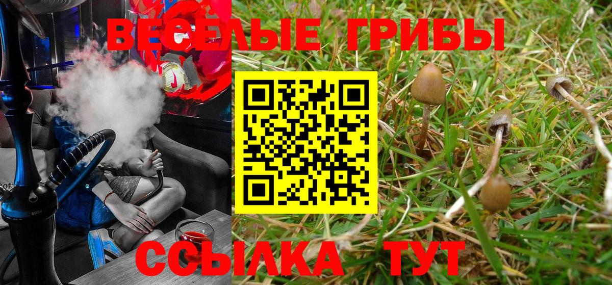 Псилоцибиновые грибы ЛСД Топки